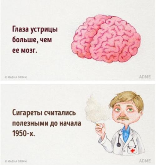 20 абсурдных фактов, которые на самом деле чистая правда. 03