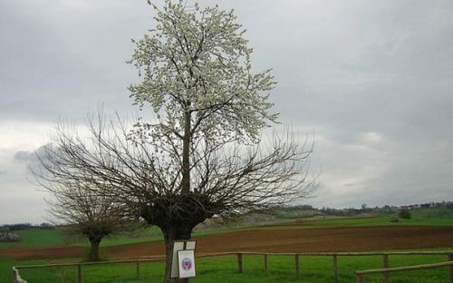 10 реальных мест, которые кажутся невозможными с научной точки зрения. 03 10 реальных мест, которые кажутся невозможными с научной точки зрения. 03