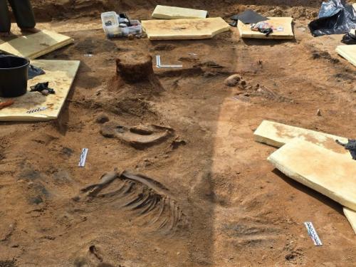 Находка века под смоленском: археологи открыли 1000-летнее погребение знати. 03