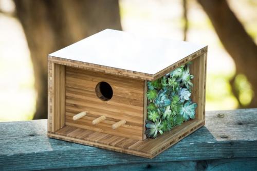 Современные скворечники. Автор: Дуглас Бернхард (Douglas Bernhard. 06