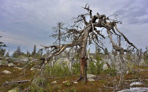 10 реальных мест, которые кажутся невозможными с научной точки зрения. 06 10 реальных мест, которые кажутся невозможными с научной точки зрения. 06