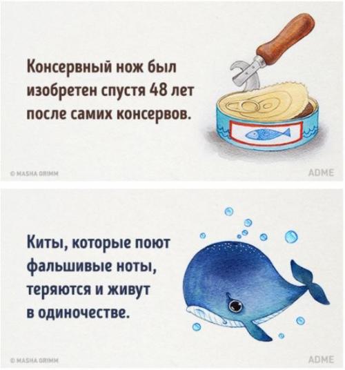 20 абсурдных фактов, которые на самом деле чистая правда. 04