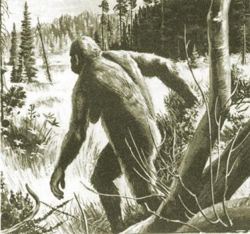 Аномальные явления в произведениях и жизни тургенева. 01 Аномальные явления в произведениях и жизни тургенева. 01