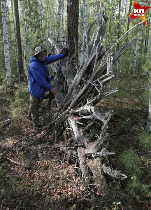 Астроном Владимир коваль: тунгусский метеорит все эти годы искали не там. 07