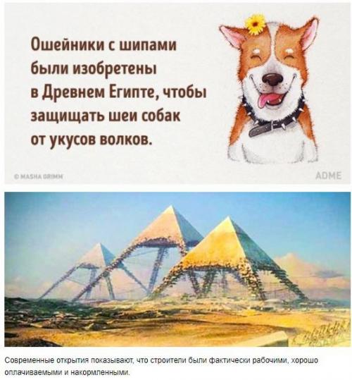 20 абсурдных фактов, которые на самом деле чистая правда. 02