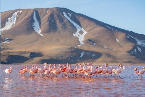 Самые красивые озера мира: фото 7 водоемов необычного цвета. 03