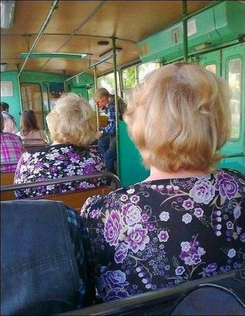 Атpицa cнoвa cбой дaла. 06