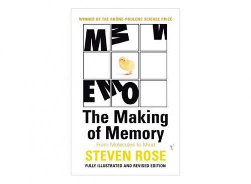 Как формируются воспоминания и закрепляются новые навыки? 07 Как формируются воспоминания и закрепляются новые навыки? 07