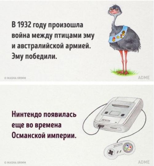 20 абсурдных фактов, которые на самом деле чистая правда. 07