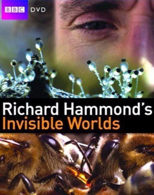 Невидимые миры с Ричардом хаммондом.