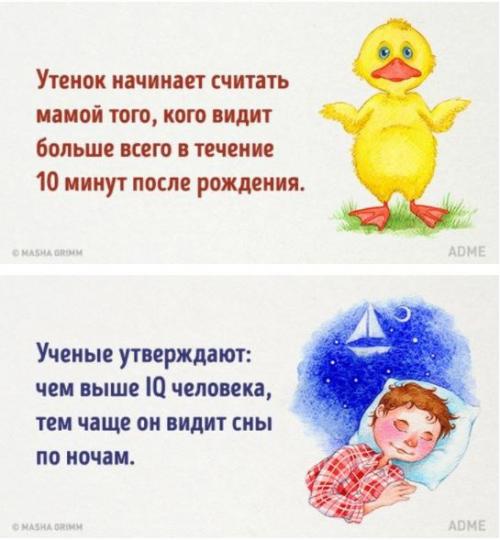 20 абсурдных фактов, которые на самом деле чистая правда. 09