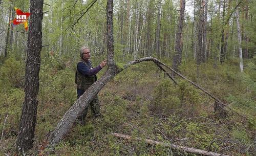 Астроном Владимир коваль: тунгусский метеорит все эти годы искали не там. 06