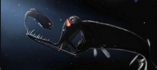 Загадки марианской впадины. 03 Загадки марианской впадины. 03