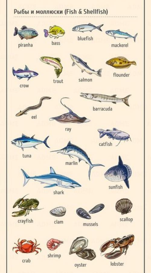 Английский - это просто. 01