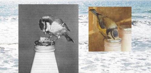 Морфогенетическое поле или откуда приходят наши знания? 01