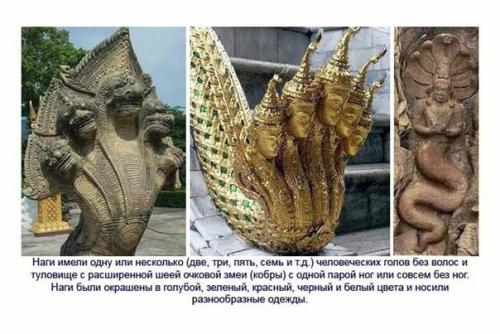 В древности люди контактировали с рептилоидами, называя их наги, проживающие под землёй. 04 В древности люди контактировали с рептилоидами, называя их наги, проживающие под землёй. 04