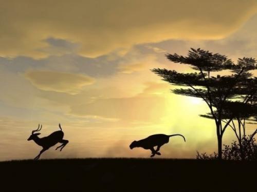 Каждое утро в Африке газель просыпается.