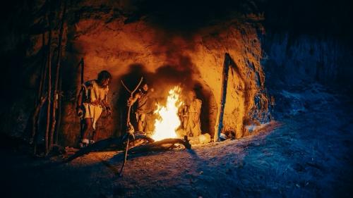 Исследование опровергло исключительно дневной образ жизни Homo Sapiens.

