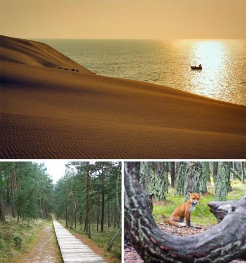 10 дорог, которые откроют вам всю красоту России. 02 10 дорог, которые откроют вам всю красоту России. 02