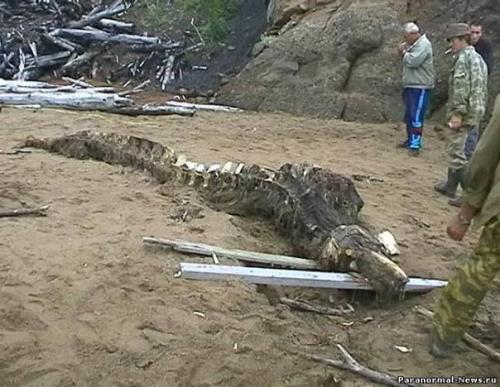 Аномальные зоны Сахалина. 02 Аномальные зоны Сахалина. 02