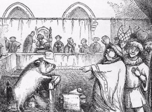 Судебные процессы над животными.