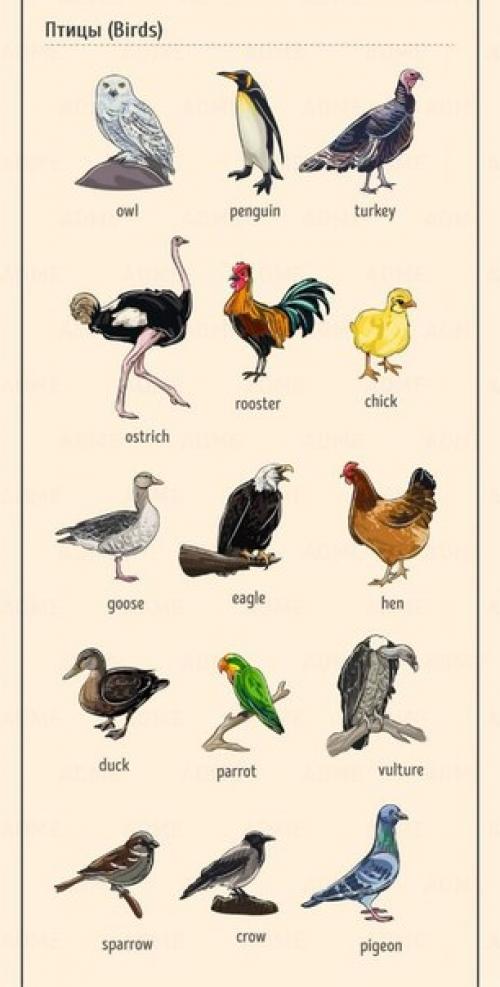 Английский - это просто. 02