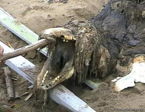 Аномальные зоны Сахалина. 03 Аномальные зоны Сахалина. 03