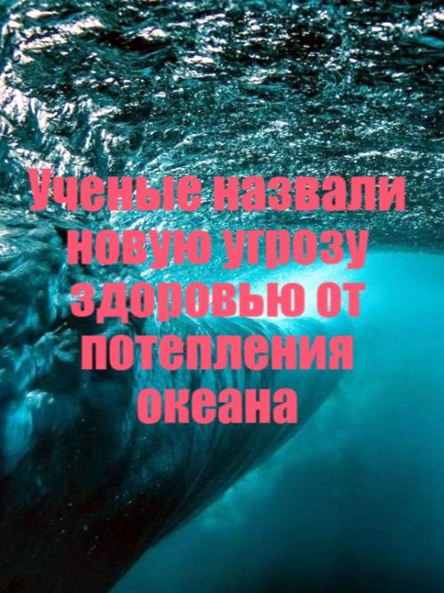 Морские тепловые волны - долгие периоды необычно высокой температуры воды - опасны не только для кораллов и рыб.  