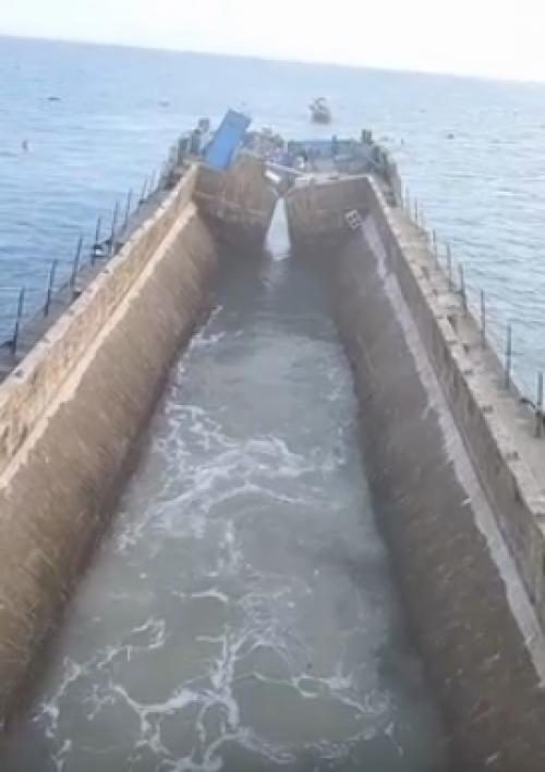 Искусственные рифы - это ключ к восстановлению морских экосистем. 01