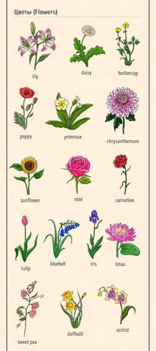 Английский - это просто.