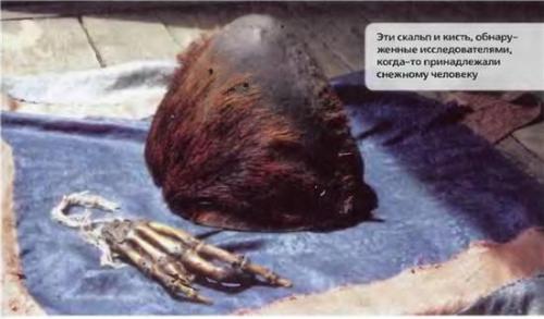 Серьезные ученые о встречах с йети. 04
