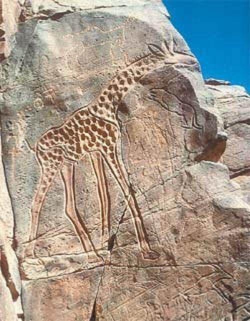 Загадочные петроглифы сахары. 03