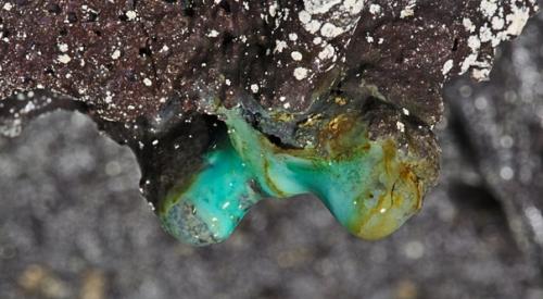 Микробиологи: лавовые пещеры на Гавайях содержат тысячи неизвестных видов бактерий. 01