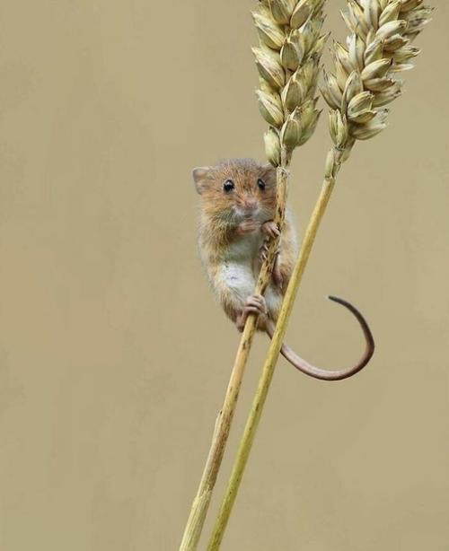 Хватит смотреть плохие новости перед сном. 02