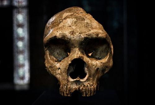 Древнейшее в мире экологическое загрязнение открыто.
