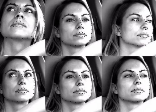 Программа для анализа движений водителей на сов и ящериц поделила. Программа для анализа движений водителей на сов и ящериц поделила.