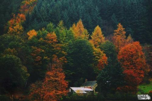 Пахнет осенью.  Что-то необыкновенно грустное, приветливое и красивое.