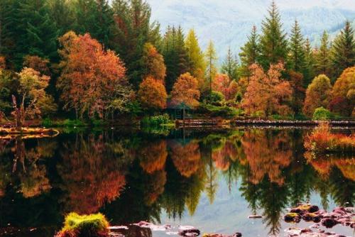 Пахнет осенью.  Что-то необыкновенно грустное, приветливое и красивое. 03