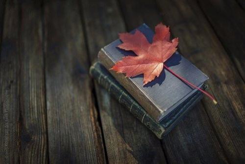 27 книг, которые нужно прочитать до 27 лет.