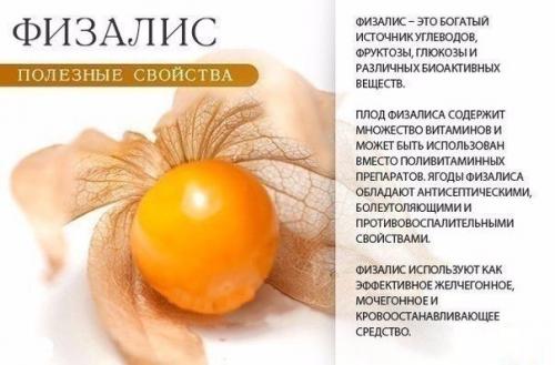 Оранжевое настроение: в чем польза оранжевых продуктов? 01