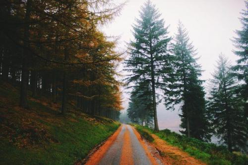 Пахнет осенью.  Что-то необыкновенно грустное, приветливое и красивое. 02