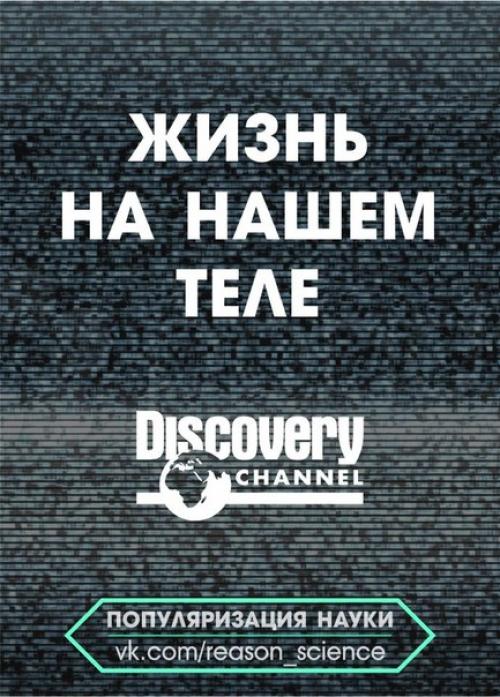 Документальный фильм Жизнь на Нашем Теле приглашает в путешествие по просторам человеческого тела.