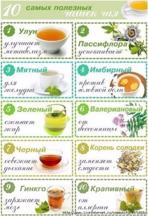 10 самых полезных чашек чая. 10 самых полезных чашек чая.