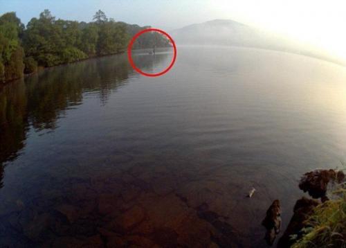 Фантастические чудовища совсем близко. Фантастические чудовища совсем близко.