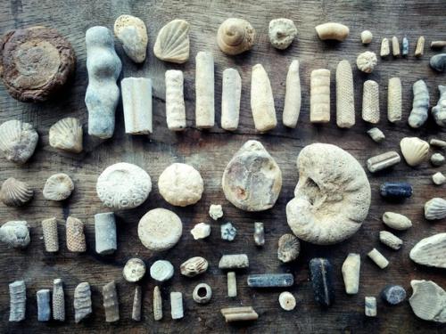 А вы знаете, что вершины Кавказа когда-то были дном моря? 03 А вы знаете, что вершины Кавказа когда-то были дном моря? 03