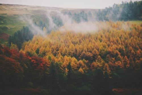 Пахнет осенью.  Что-то необыкновенно грустное, приветливое и красивое. 06