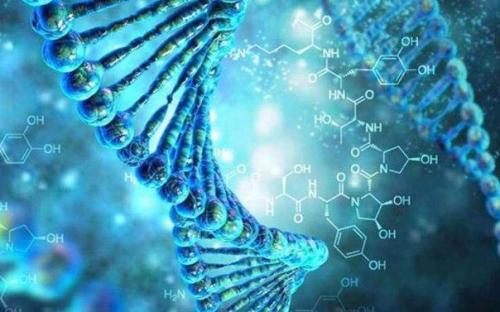 Ученые биоустройство для записи данных создали. Ученые биоустройство для записи данных создали.