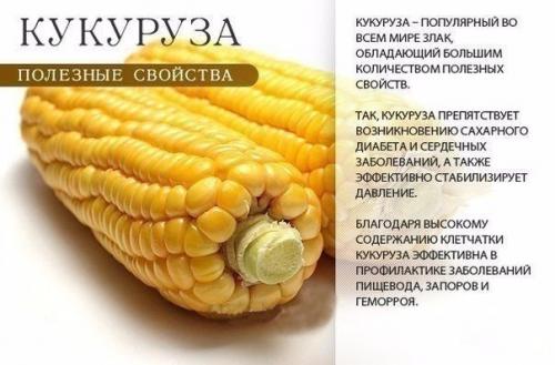 Оранжевое настроение: в чем польза оранжевых продуктов? 06