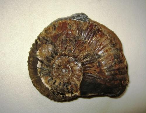 А вы знаете, что вершины Кавказа когда-то были дном моря? 01 А вы знаете, что вершины Кавказа когда-то были дном моря? 01