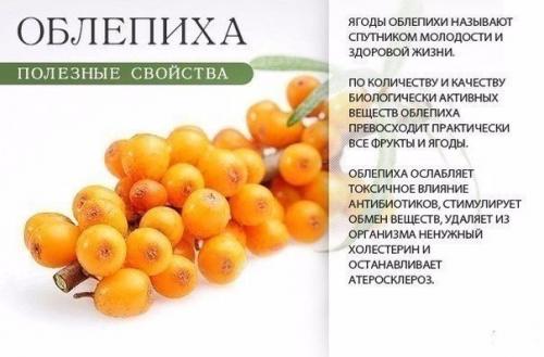 Оранжевое настроение: в чем польза оранжевых продуктов?